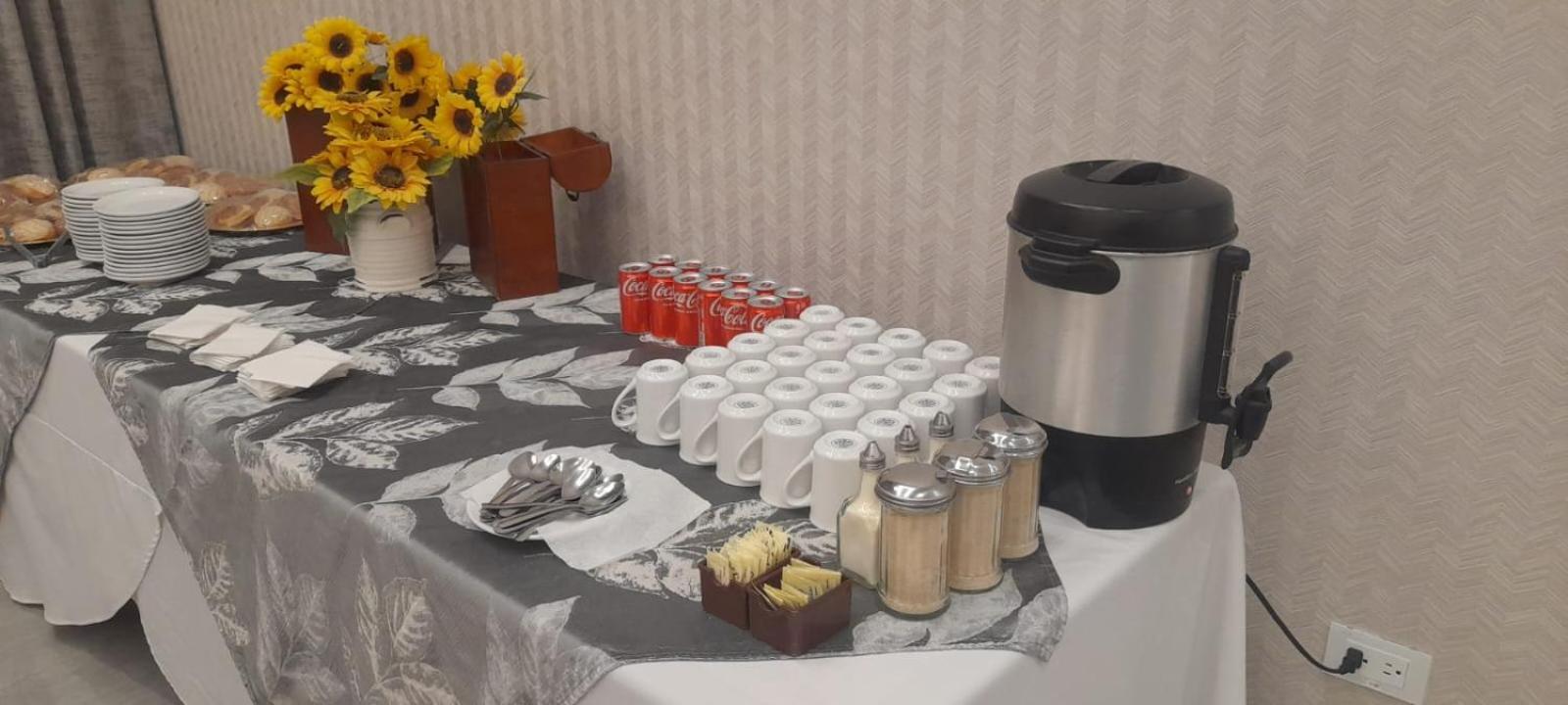 סיודאד חוארס Hotel Villa Del Sol מראה חיצוני תמונה